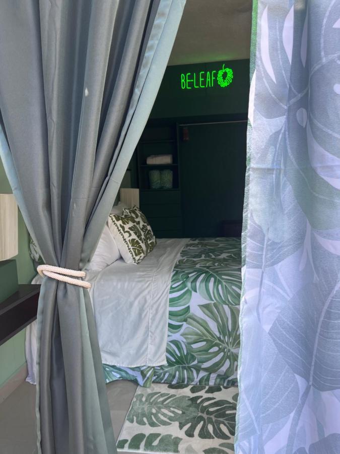 Dici Co-Living Housing Cabo San Lucas Bed and Breakfast Exteriör bild