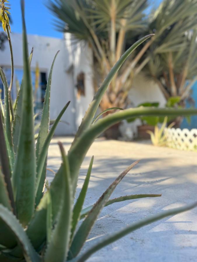 Dici Co-Living Housing Cabo San Lucas Bed and Breakfast Exteriör bild