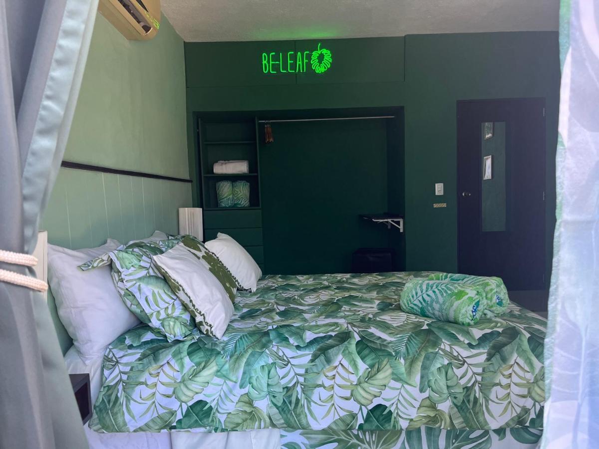 Dici Co-Living Housing Cabo San Lucas Bed and Breakfast Exteriör bild