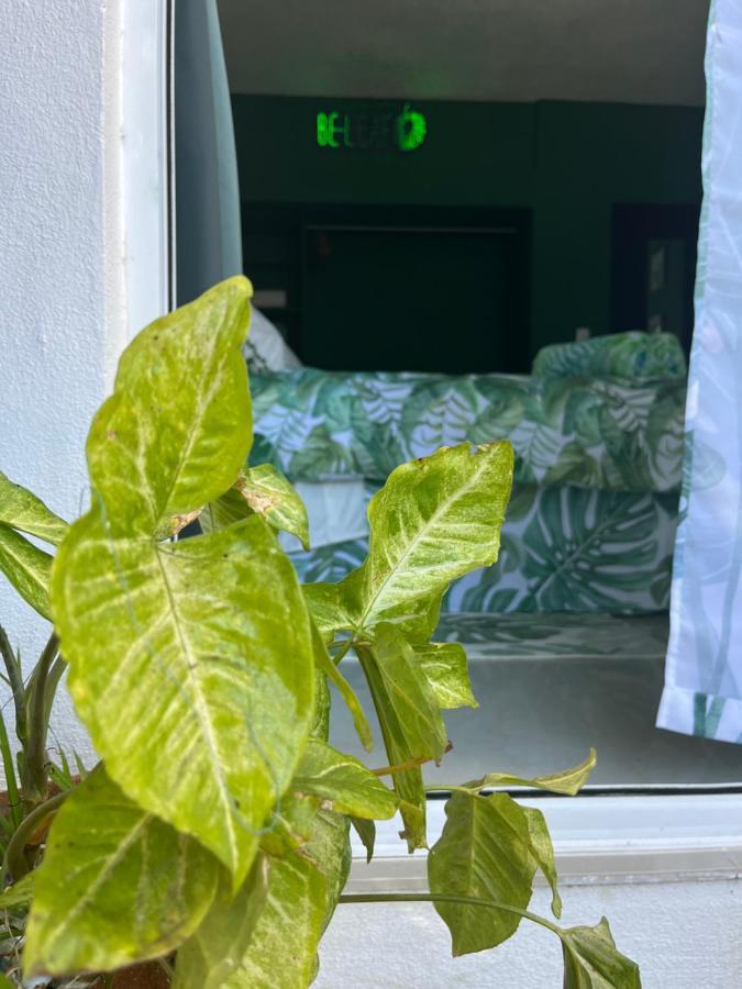 Dici Co-Living Housing Cabo San Lucas Bed and Breakfast Exteriör bild