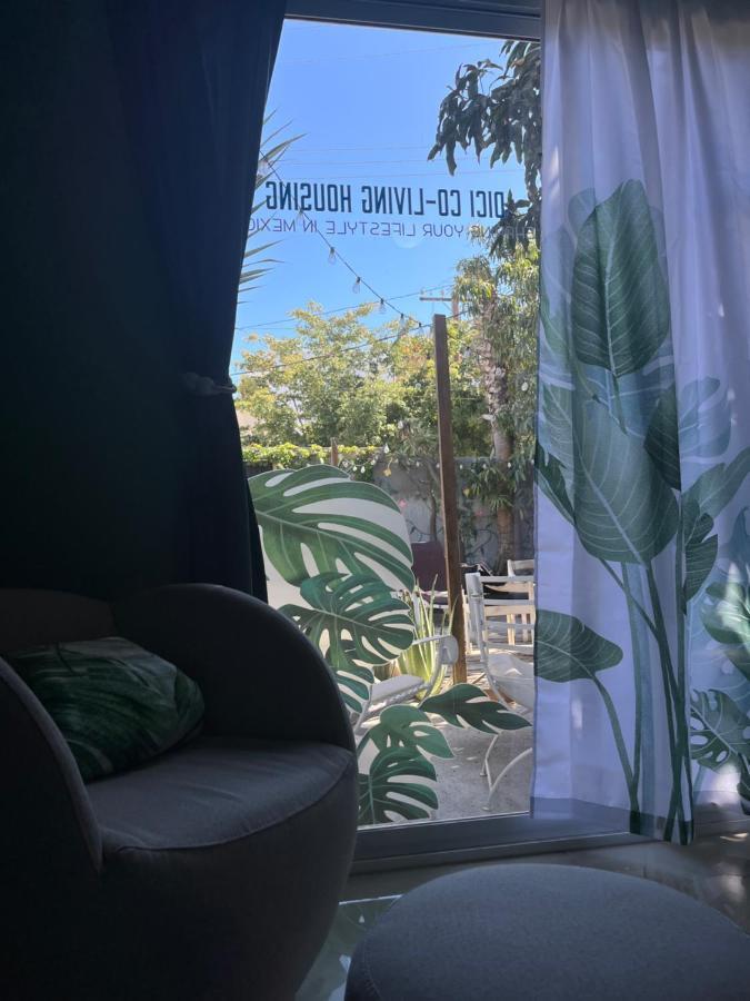 Dici Co-Living Housing Cabo San Lucas Bed and Breakfast Exteriör bild
