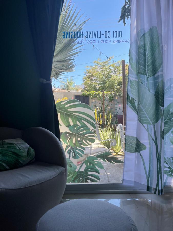 Dici Co-Living Housing Cabo San Lucas Bed and Breakfast Exteriör bild